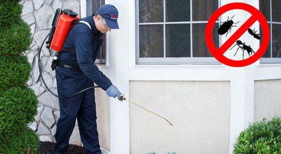 Zeytinalanı Bit İlaçlama böcek ilaçlama ve haşere kontrolü — ilaclama-tr.com